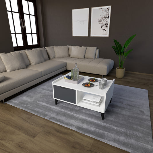 Perlomi Orta Sehpa 2 Bölmeli 1 Kapaklı Sehpa Beyaz/Karbon Gri PER SHP 001